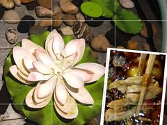 -一只烧鸡公(解放碑店)