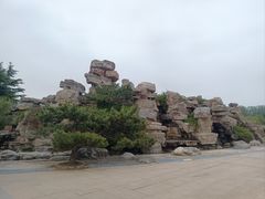 -石家庄市植物园