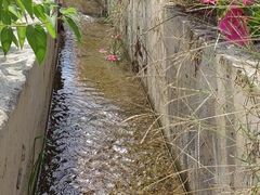 -福清灵石山国家森林公园