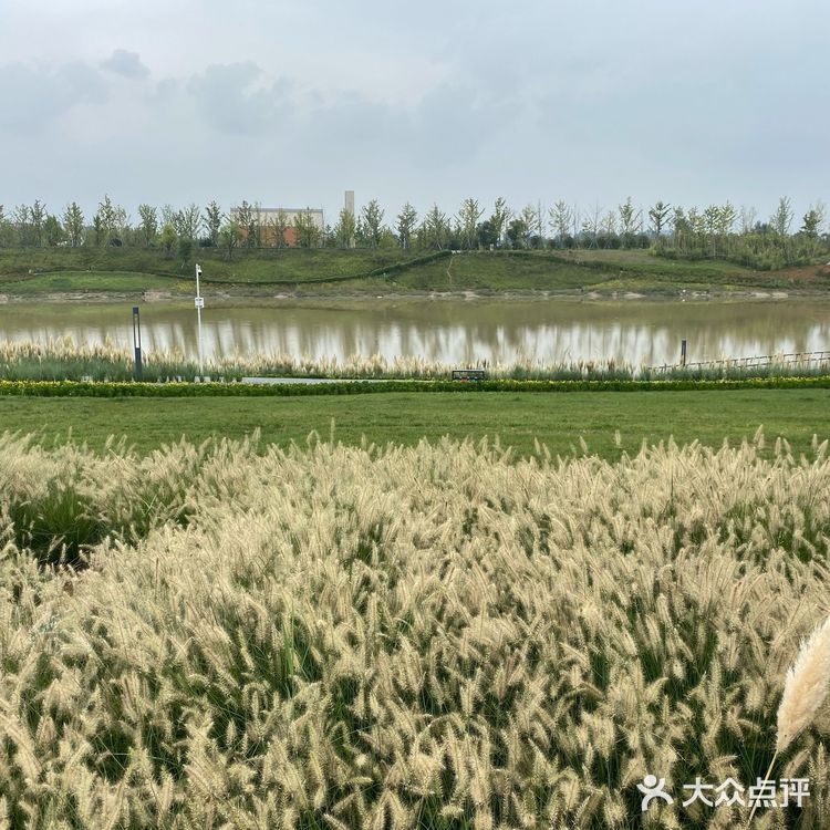 沣河梁家滩湿地公园