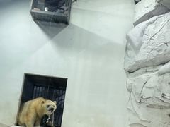 -海合安成都极地海洋公园