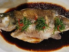 清蒸鲈鱼-大鸭梨烤鸭(左家庄店)