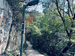 -宝岩生态观光园