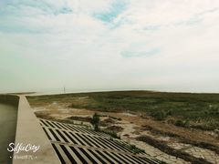 景点-南汇嘴观海公园