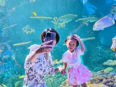 -华夏文旅海洋公园