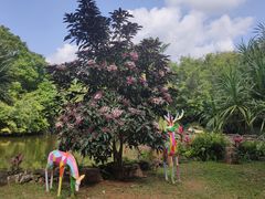 -海南热带野生动植物园