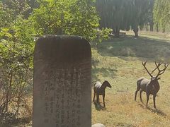 -北京麋鹿生态实验中心