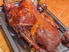 -京B·东篱精酿啤酒音乐餐厅