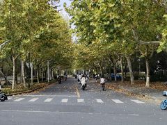 -浙江农林大学(东湖校区)