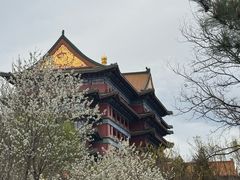 -大明幻境第一城