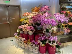 -city'super超·生活(国金中心商场店)