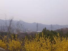 -白水寺森林公园