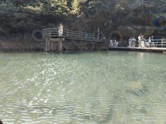 -庐山碧龙潭风景区