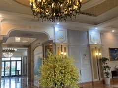 -平湖九龙山庄园圣马可酒店