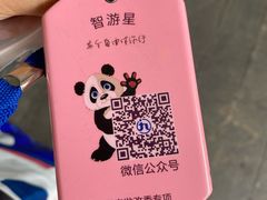 -都江堰中华大熊猫苑
