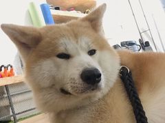 -YCHL Studios健身工作室(市二宫店)