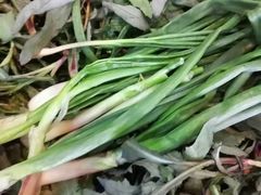 -山妹子铁锅炖
