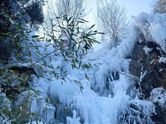 -九如山休闲旅游度假区