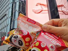 -海底捞火锅(奥森店)