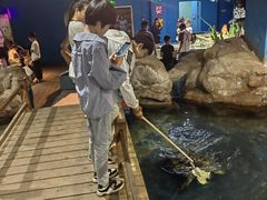 -邯郸海洋世界