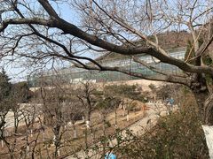 -石老人观光园
