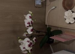-AURAS璈然科技护肤中心