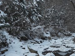 -少华山国家森林公园