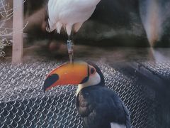 -红山森林动物园