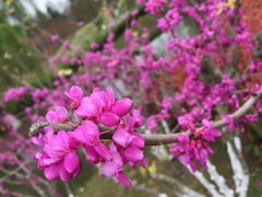 -白塘生态植物园