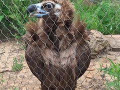 -哈尔滨北方森林动物园