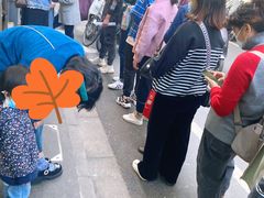 -陶记正宗德州扒鸡(科巷店)