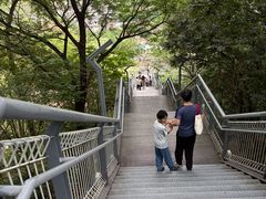 -佛山华盖山公园