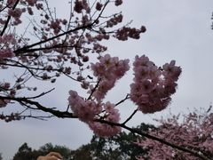 -南山植物园