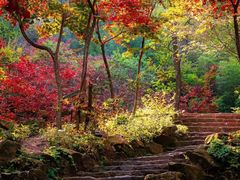 -九如山休闲旅游度假区