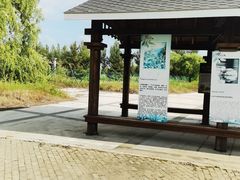 -呼兰河口湿地公园