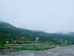 -晋直驾校