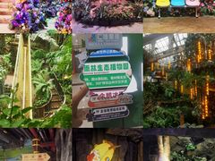 -正佳雨林生态植物园