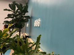 -CoCo都可(中集店)