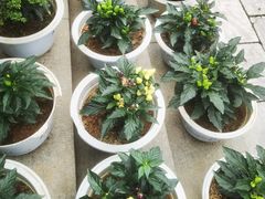-天怡·鱼工厂(临江店)