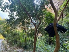 -雁荡山三折瀑景区