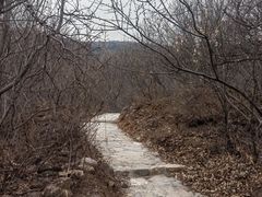 -北京西山国家森林公园