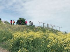 -芬兰堡