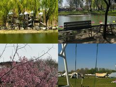 -圣露庄园·露营·烤肉·亲子