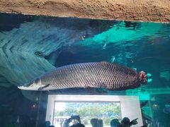 -华夏文旅海洋公园