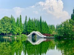 -桃花岛公园