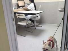 医生诊室-谐和贝康宠物医院24小时·宠保定点(急重症转诊中心)
