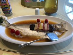 -粤味馆(黄河路店)