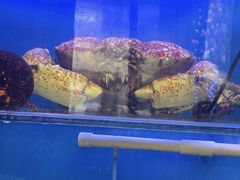 -真味海鲜坊