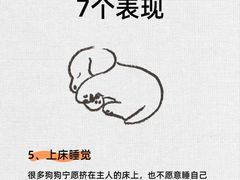 -派联宠物医院·24h·CT·异宠