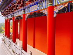 -东莞市大岭山森林公园